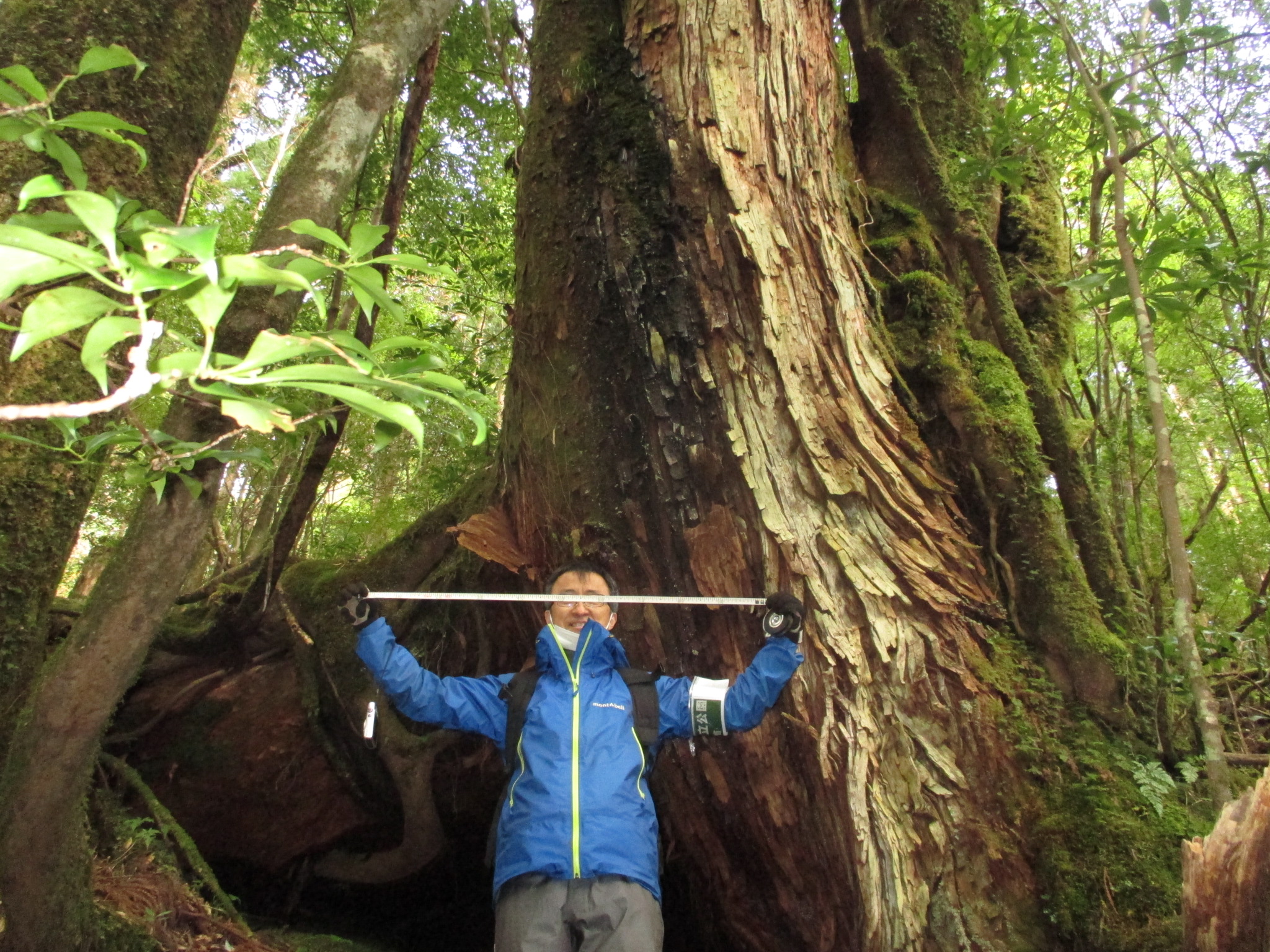 Yakushima